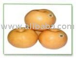 SINGO PEAR