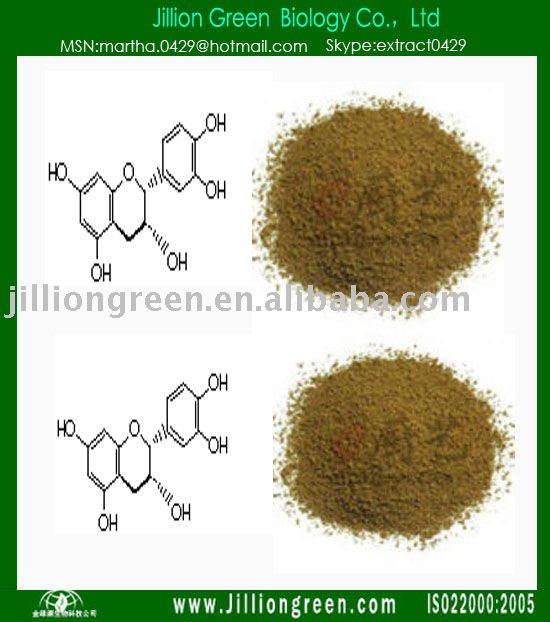 Plant Extract:Oolong Tea Extract Powder