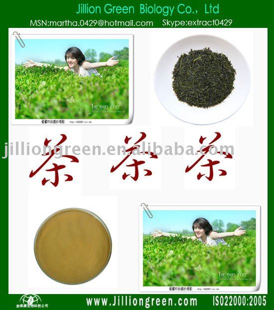 Iced Tea Extract Powder