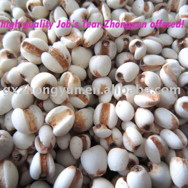 COIX SEEDS products,Vietnam COIX SEEDS supplier