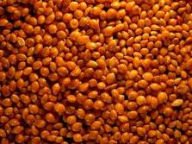 Red Millet in Husk