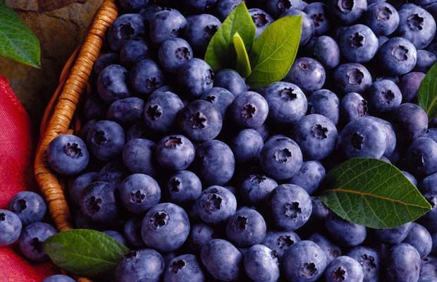 Berries Juice Concentrate