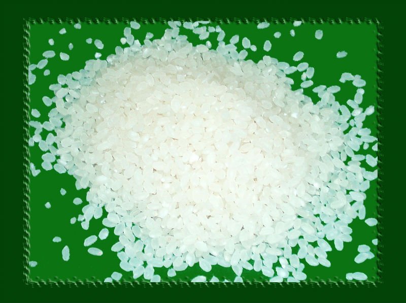 ROUND RICE SHORT GRAIN