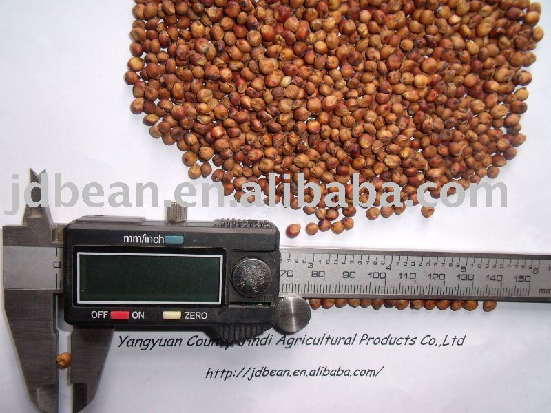 HPS Red Sorghum (GF3)