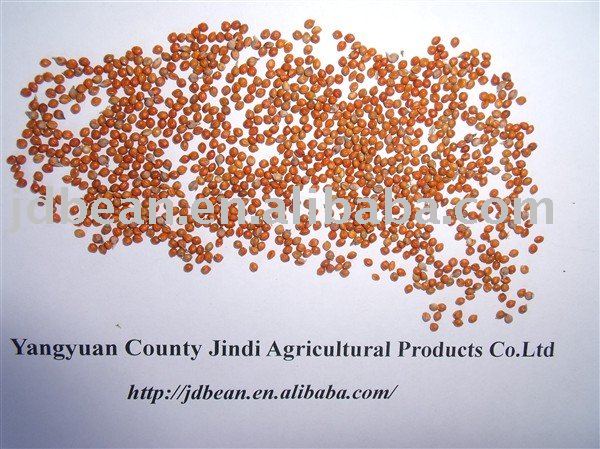 HPS Red Millet in Husk(GF4)