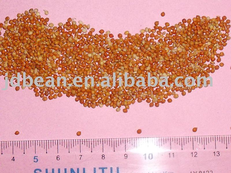 Naturally Grown Red Millet in Husk