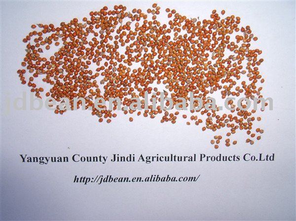 High Quality Red Millet in Husk