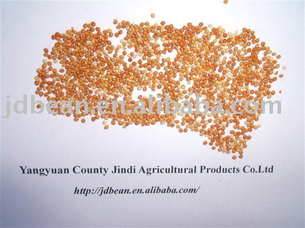 HPS Red Millet in Husk(GF2)