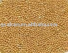 Organic  Yellow Broomcorn Millet