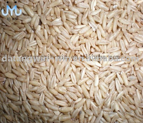 Kiln Dried Hulled  Oat s