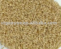 Supply Raw Oats food grade