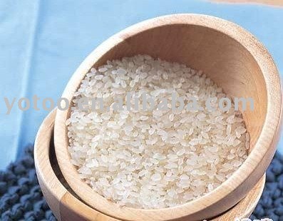 rice/round grain rice/chinese rice/medium grain rice/short grain rice