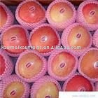 China Fuji Apples