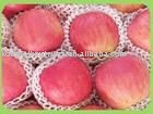  Fuji   Apples   Producers 