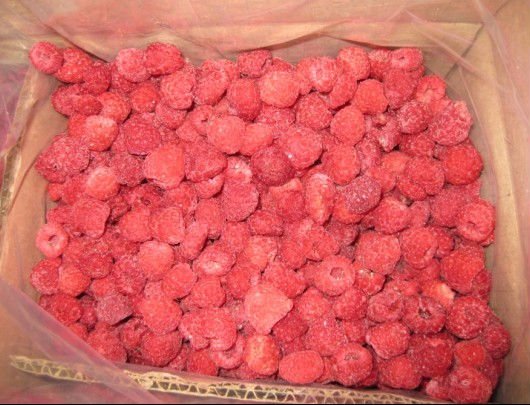  Frozen   Red  Raspberry