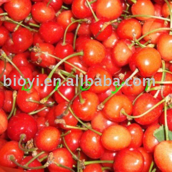 Supply Frozen Cherry