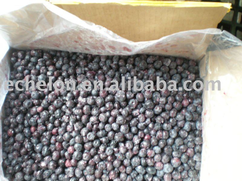 frozen blueberry