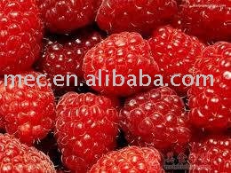 Frozen Raspberry/ IQF Raspberry
