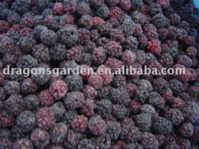 frozen blackberry