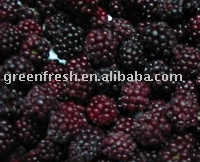 Frozen Blackberry
