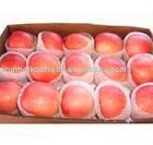 Fruit Packaging Apple