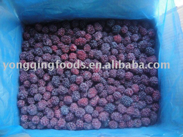 frozen blackberry