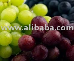 Fresh Grapes