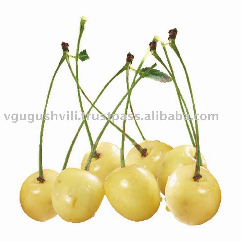 IQF FROZEN WHITE CHERRY