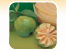 Frozen Guava pulp