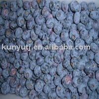 frozen blueberry