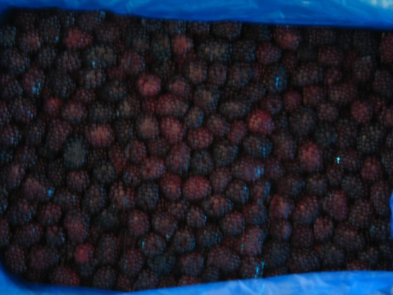 frozen blackberry