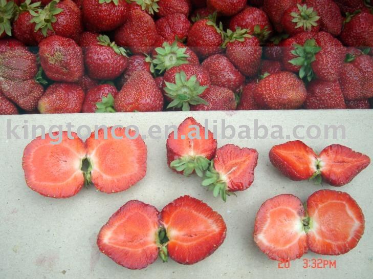 frozen  strawberry