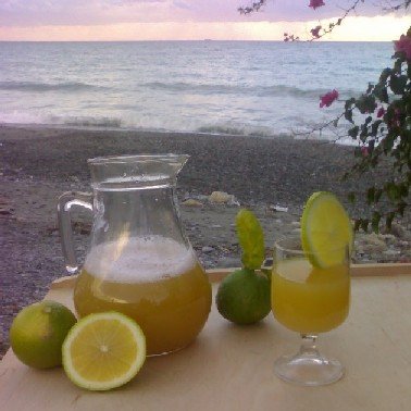 Concentrated Citrus Juice Of Bergamot
