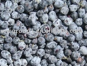 IQF Blueberry