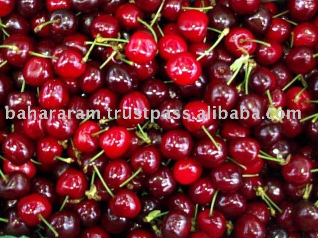 Sour Cherry Juice Concentrate