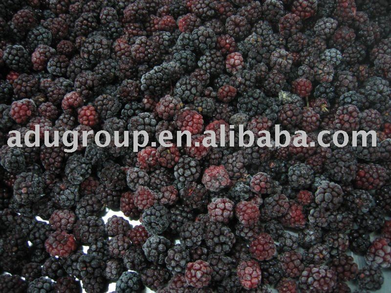  Frozen   blackberry ,IQF  blackberry , Quick   frozen   blackberry 