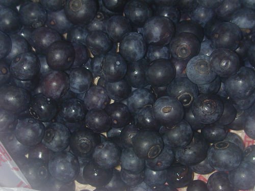 IQF blueberry