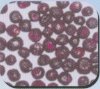Dried Blueberries