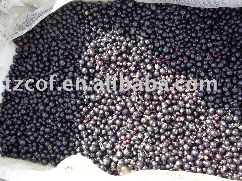 IQF BLACK CURRANT