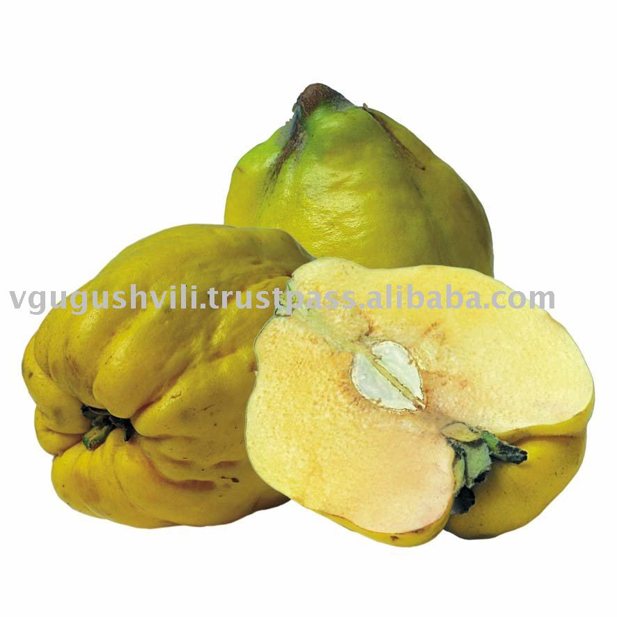 IQF FROZEN QUINCE