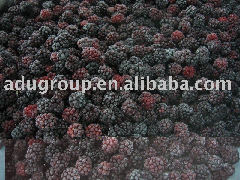 Frozen blackberry,IQF blackberry,Deep frozen blackberry