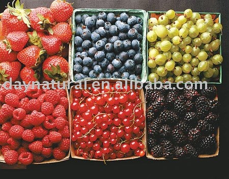 Virious Frozen Fruits--Frozen Strawberry/frozen mulberry/frozen blueberry/frozen  blackcurrant ,etc