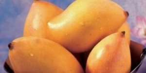  Totapuri   Mango   pulp 