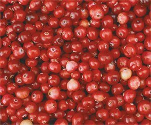 Cranberry (IQF, Juice Concentrate)