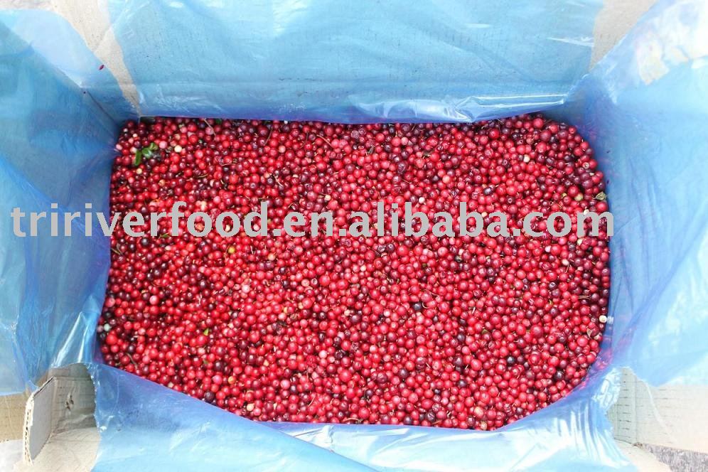 Lingonberry