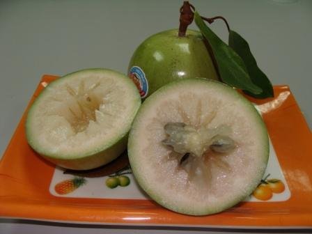 Sell Fresh  star   apple   fruit s/ sell Fresh  fruit s