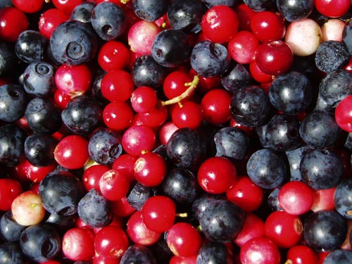  Organic   Cranberry  IQF