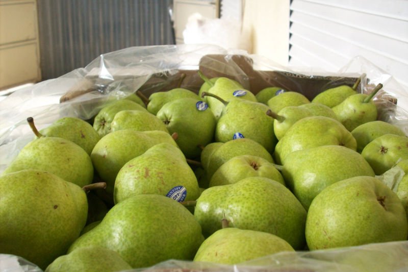  Pear 