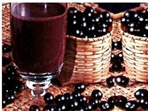  Acai   Frozen   Pulp 