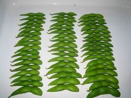 Frozen  Soybeans  FOR  SALE 